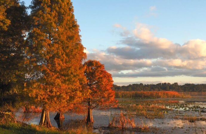 I’ve lived in Florida for 25 years. Here’s why I think fall is the best time to visit.