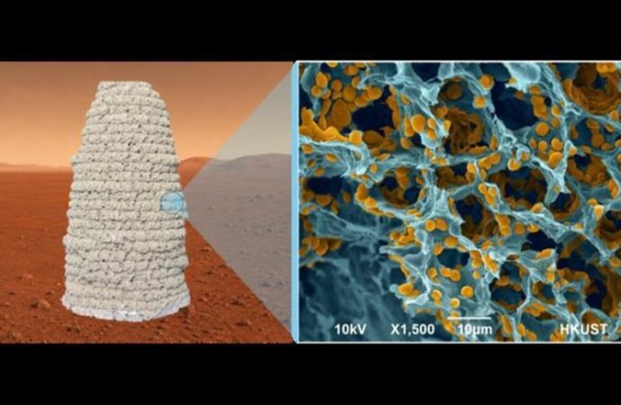 Jell-O and Beer May Hold the Keys to Brewing Houses on Mars – CNET