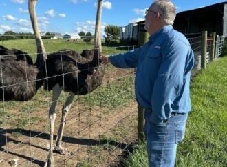 Kentucky man with a meat allergy was craving a burger. So he got into ostrich farming