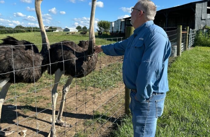 Kentucky man with a meat allergy was craving a burger. So he got into ostrich farming