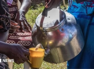 Kenya’s milk shortage: Chai tea lovers unhappy as cows run dry