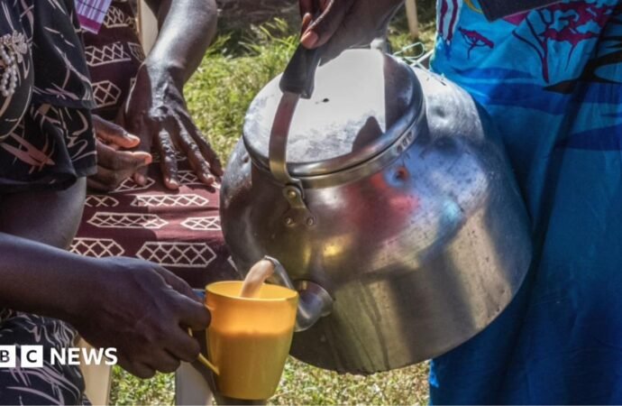 Kenya’s milk shortage: Chai tea lovers unhappy as cows run dry