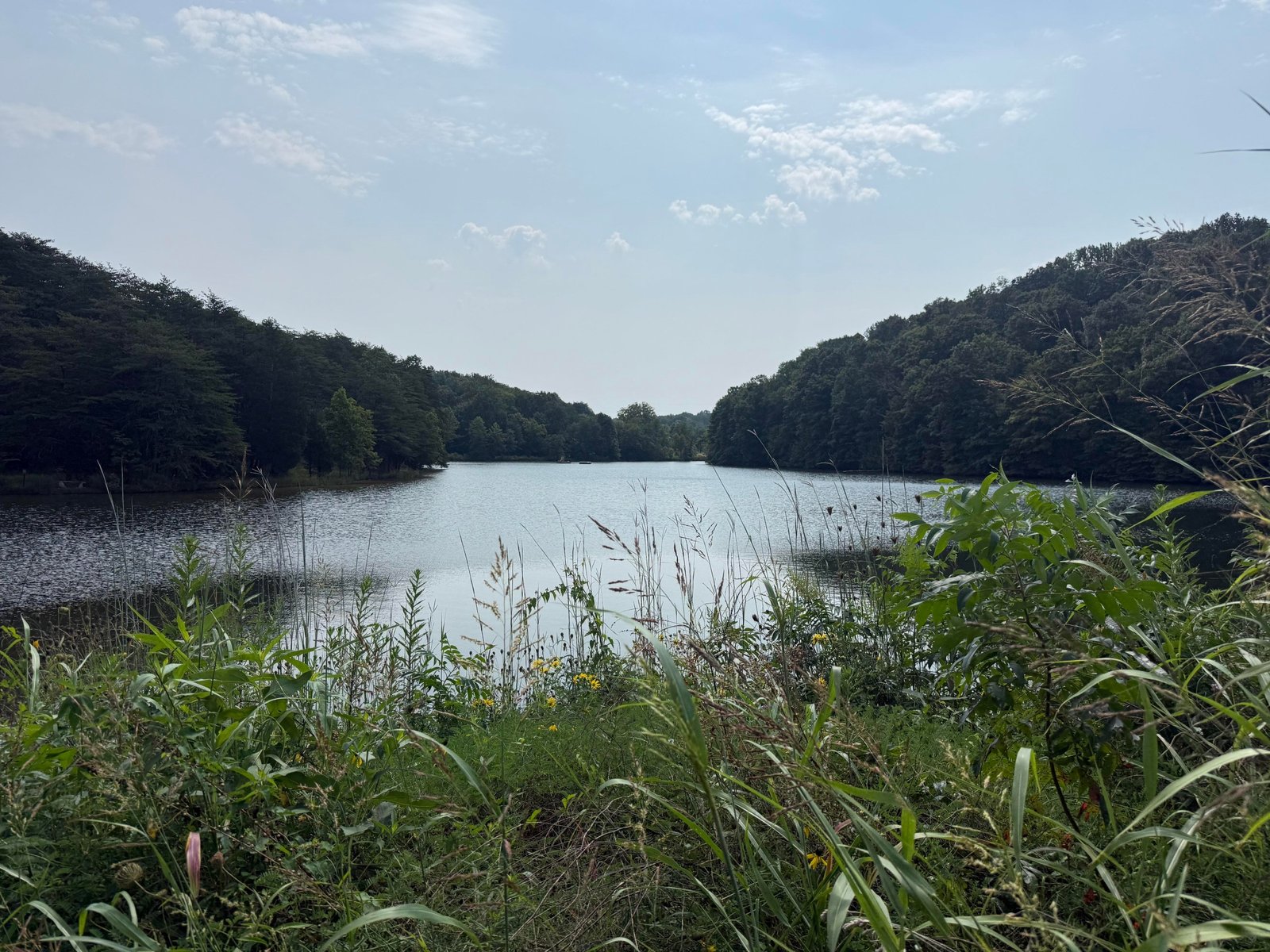 The river near Laura Lin’s house in Lanesville, Indiana, flooded after a recent rain. New technology could provide residents with quicker warnings when the threat arises.