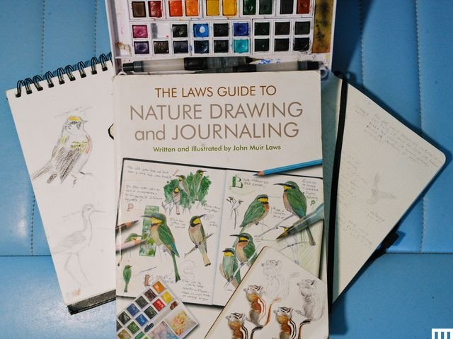 Overhead view of drawing pads, watercolor palette and blank pages.
