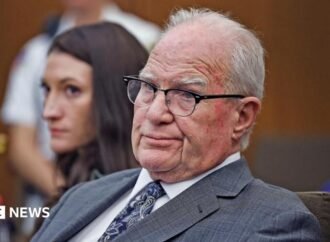 Lindsay Clancy lawyer Kevin Reddington creates courtroom spectacles