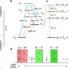 Lu+ optical frequency references with accuracy verified at the 19th digit – Nature