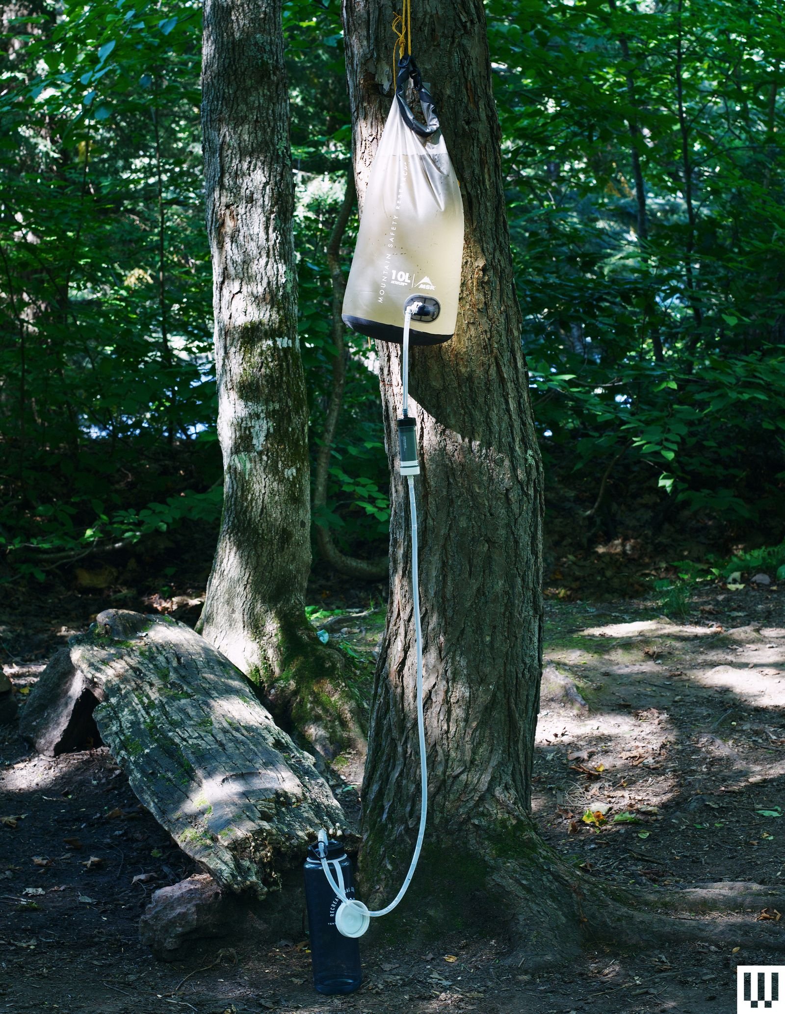 Image may contain Plant Vegetation Tree Land Nature Outdoors Woodland Jungle Rainforest Grove Accessories and Bag