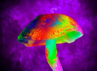 Magic-mushroom compound blocks a severe side effect of chemotherapy in mice
