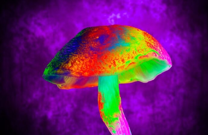 Magic-mushroom compound blocks a severe side effect of chemotherapy in mice