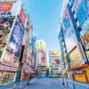 Maple season to mangrove coast: Asia by luxury cruise
