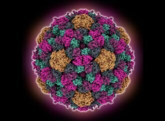 Mutating every DNA letter of a genome shows surprising effects — and the limits of AI