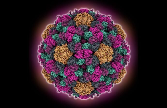 Mutating every DNA letter of a genome shows surprising effects — and the limits of AI
