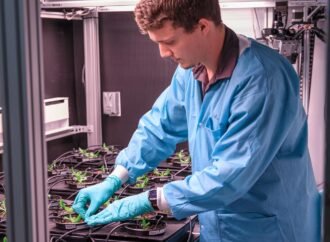 NASA, International Partners Advance Work on Space Crops – NASA Science