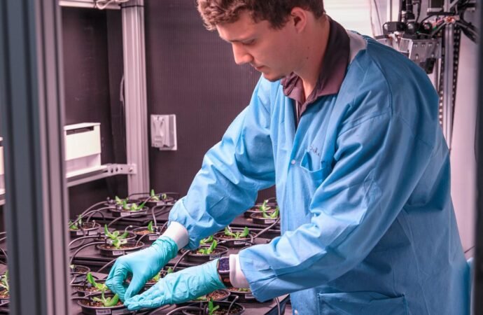 NASA, International Partners Advance Work on Space Crops – NASA Science