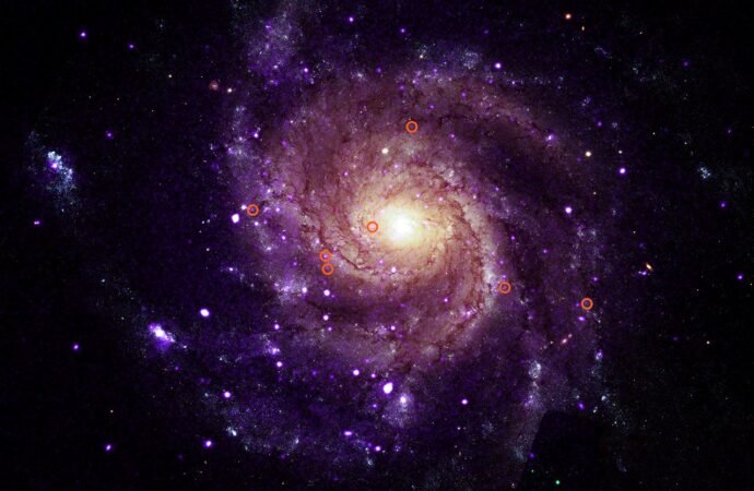 NASA’s Chandra Unveils Mysterious X-Ray Objects – NASA Science