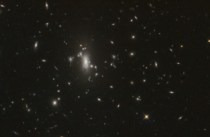 NASA’s Hubble Seeks Lensed Supernova, Marks 200,000 Orbits – NASA Science