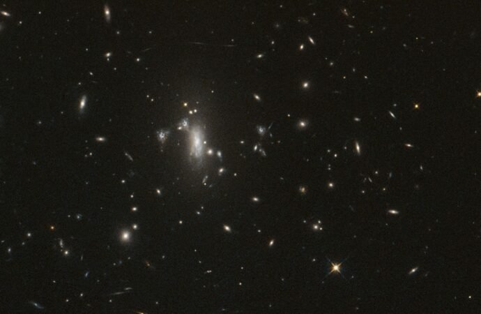 NASA’s Hubble Telescope Reaches Milestone, Looks for Elusive Supernova – NASA
