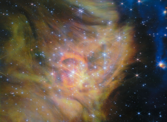NASA’s Webb Reveals Dynamic Panorama of Star Formation – NASA Science