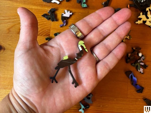 Image may contain: Body Part, Finger, Hand, Person, and Wood