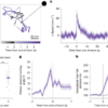 Neuronal detection of social actions directs collective escape behaviour – Nature