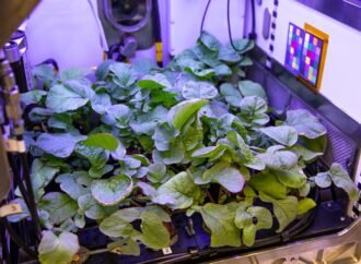 New Crops, Health Research Proposals to Help NASA Advance Exploration – NASA Science