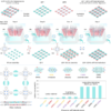 Organic two-dimensional van der Waals heterostructures – Nature