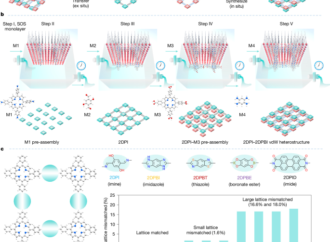 Organic two-dimensional van der Waals heterostructures – Nature