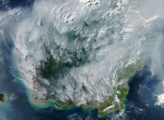 Peatland Fires Darken Skies in Indonesia – NASA Science