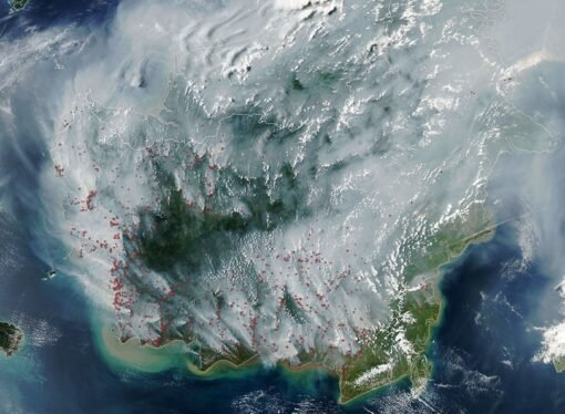 Peatland Fires Darken Skies in Indonesia – NASA Science