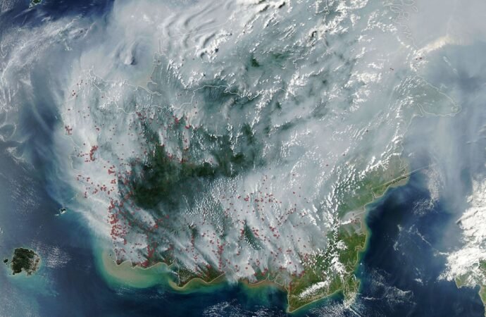 Peatland Fires Darken Skies in Indonesia – NASA Science