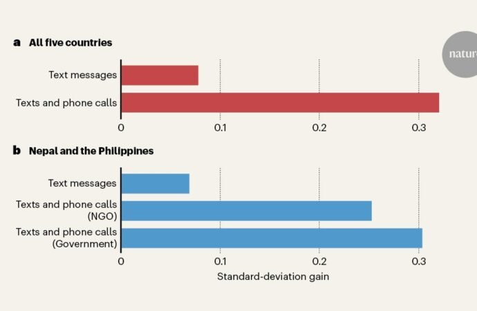 Phone-based tutoring improves learning during school closures