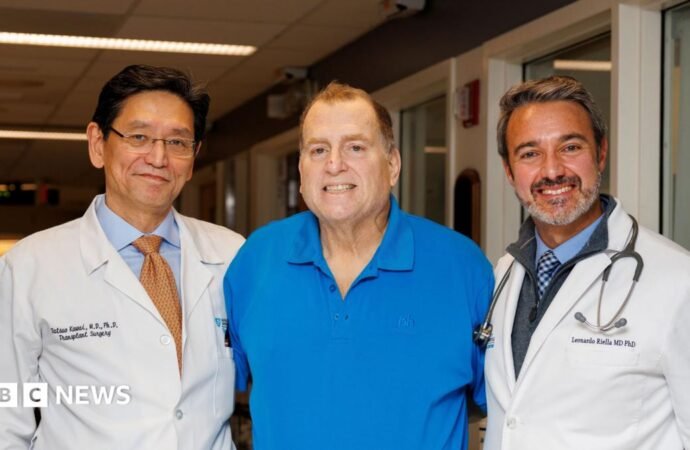 Pig kidney works in human body for 271 days – is this the future of organ transplants?