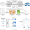 Predicting genome-wide functional constraints with GPN-Star – Nature