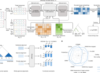 Predicting genome-wide functional constraints with GPN-Star – Nature