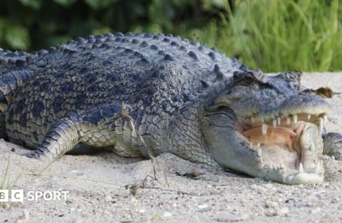 River that is home to 500 crocodiles chosen to host 2032 Olympic rowing and canoe events