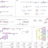 Scalable near-real-time Bayesian phylogenetics for outbreaks with Delphy – Nature