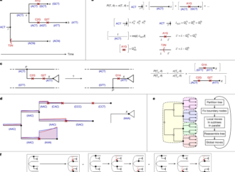 Scalable near-real-time Bayesian phylogenetics for outbreaks with Delphy – Nature