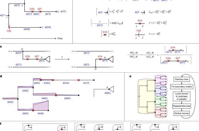 Scalable near-real-time Bayesian phylogenetics for outbreaks with Delphy – Nature