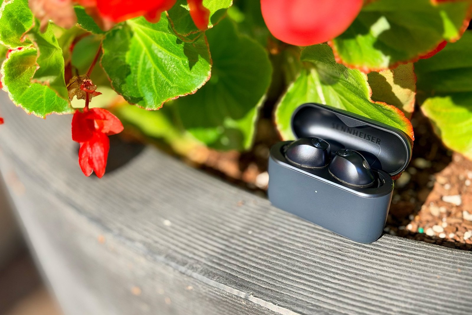The Sennheiser MTW5 earbuds + case on a planter