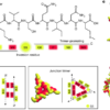 Sequence-encoded hexagonal lattices in multichannel peptide nanofibrils – Nature
