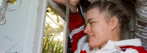 Shannon Lucid’s Record-Setting Mission Aboard Mir – NASA