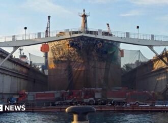 ‘Significant casualties’ after fire erupts on cargo ship in Qingdao, eastern China