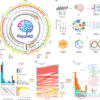 Single-cell atlas of transcriptomic vulnerability across brain disorders – Nature