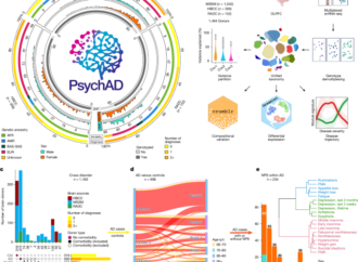 Single-cell atlas of transcriptomic vulnerability across brain disorders – Nature