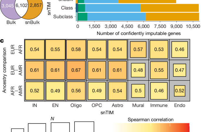 Single-nucleus transcriptome-wide association study of human brain disorders – Nature