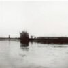 Sunken WWI sub is leaking TNT into the North Sea