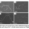 TB 26-07 Aluminum Alloy 2219 Material Guidance – NASA