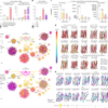 TM184C is a GPCR-like regulator of intercellular exchange and autophagy – Nature