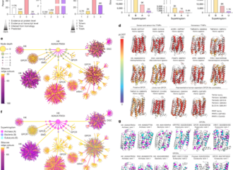 TM184C is a GPCR-like regulator of intercellular exchange and autophagy – Nature