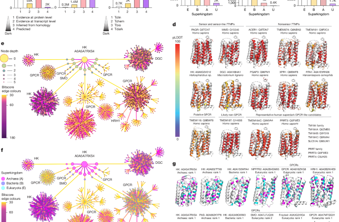 TM184C is a GPCR-like regulator of intercellular exchange and autophagy – Nature